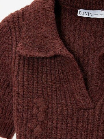 Dilvin Pullover 'Pullover'‌‌‌‌ in Braun