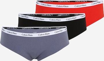 Calvin Klein Underwear Plus Panty in Mixed colors: front