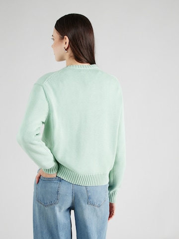 Polo Ralph Lauren Пуловер 'CADET BEAR' в зелено