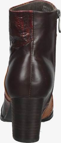 Laura Vita Ankle Boots in Brown