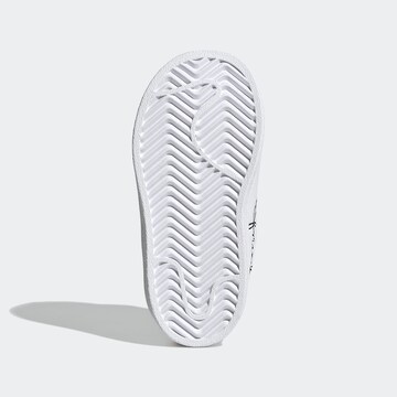 ADIDAS ORIGINALS Sneaker 'Superstar Pure' in Weiß