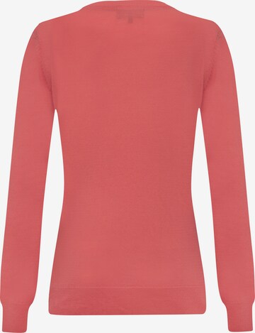 Sir Raymond Tailor Pullover 'Verty' in Pink