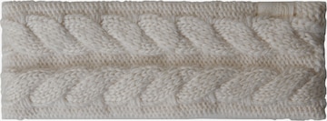 Bandeau THE NORTH FACE en blanc : devant
