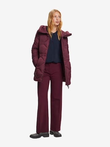 ESPRIT Winter Coat in Purple