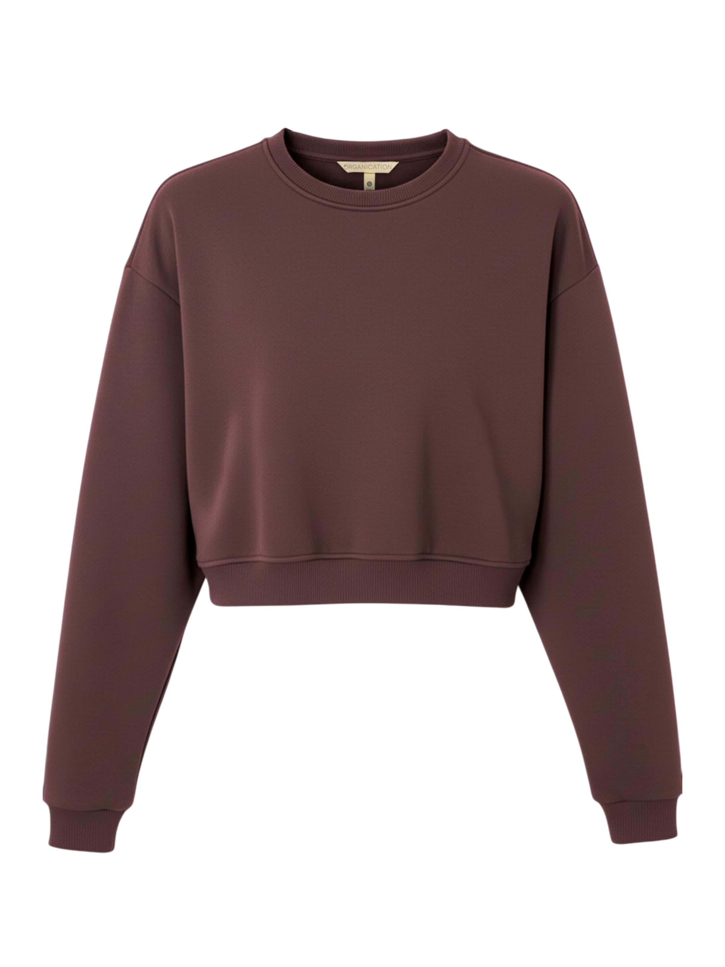 Organication Sweatshirt in Brown: front