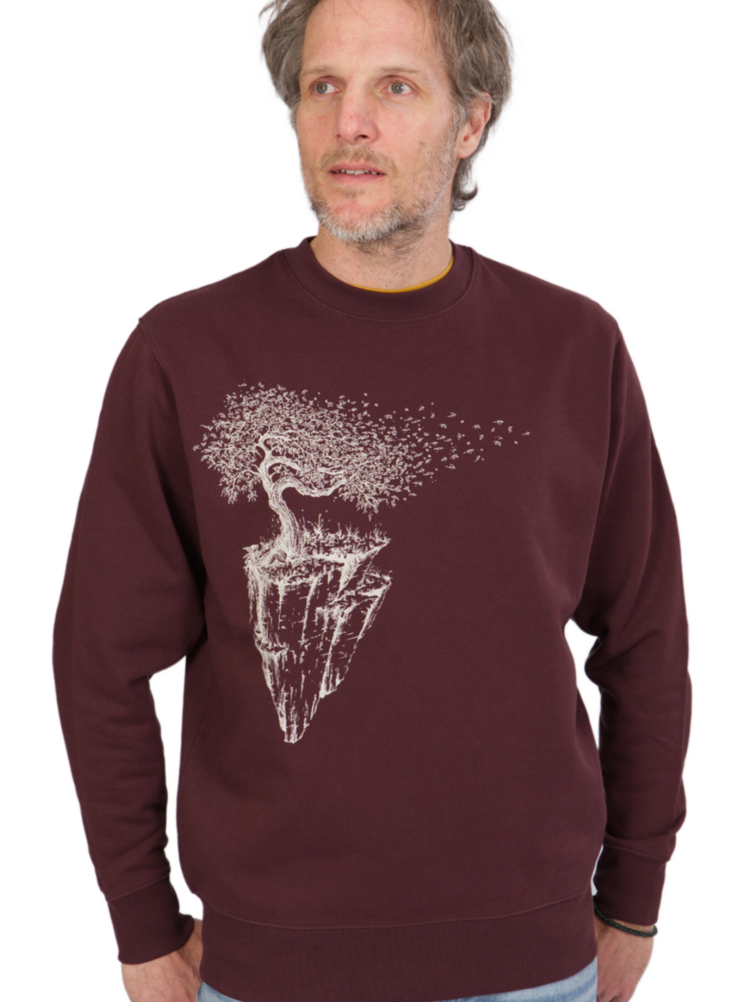 Life-Tree Sweatshirt 'Organic Fairwear Sweater Unisex Red Brown Maple Island' in Brown
