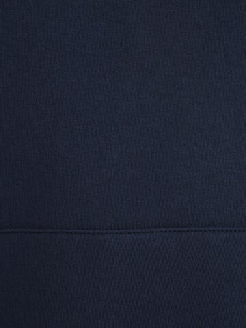 Mavi Sweatshirt in Blue