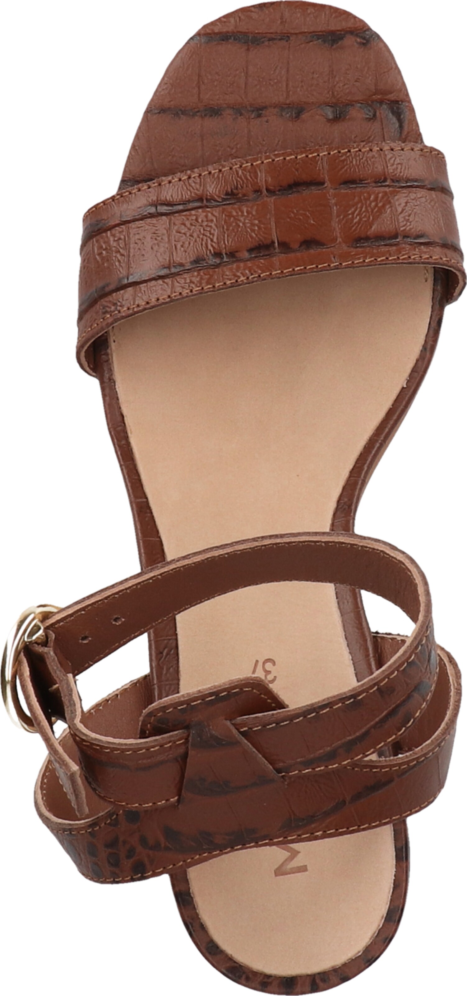 Sandalo con cinturino di MEXX in marrone