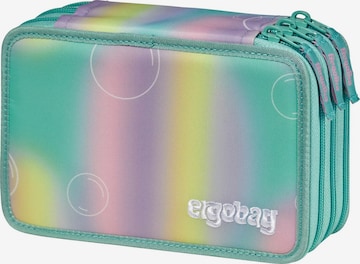 ergobag Bag 'Federmäppchen Maxi Mäppchen' in Green: front