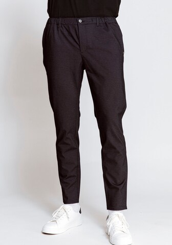 Zhrill Pants in Grey: front