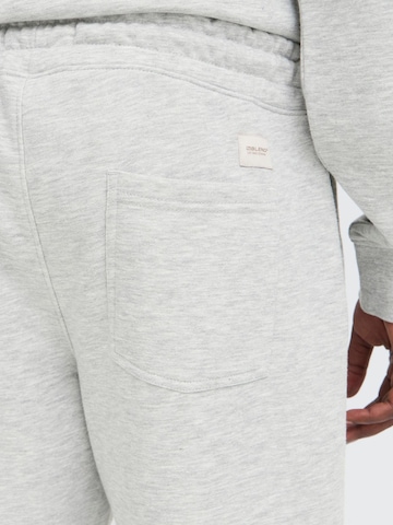 BLEND Regular Trousers ' BHKunal Sweat shorts ' in Grey
