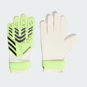 ADIDAS PERFORMANCE Sporthandschoenen 'Predator' in Groen: voorkant