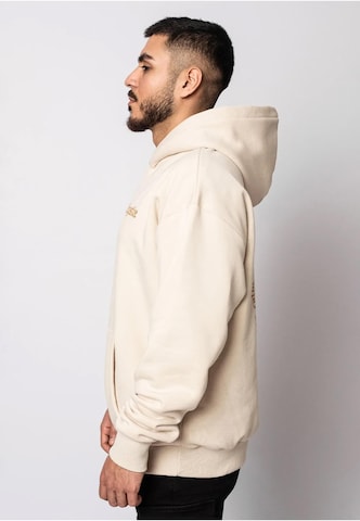 Dropsize Sweatshirt in Beige