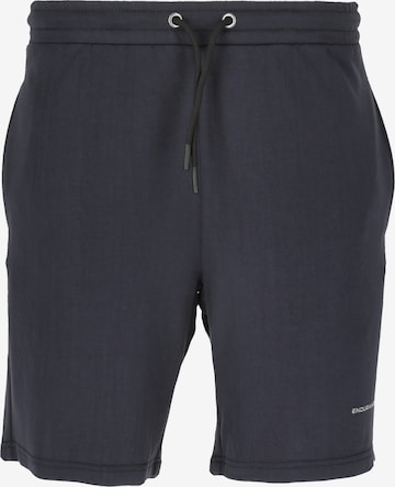 ENDURANCE Regular Workout Pants 'Loweer' in Blue: front