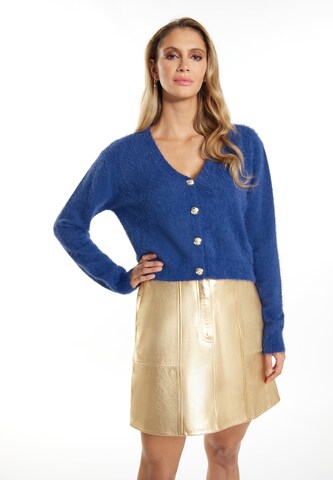 Cardigan 'Dedica' faina en bleu : devant