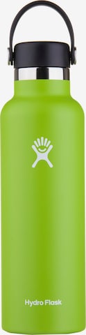 Hydro Flask Thermos 'STANDARD MOUTH' in Green: front