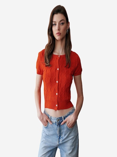 Dilvin Strickjacke 'Strickjacken'‌‌‌ in S-L in orange, Produktansicht