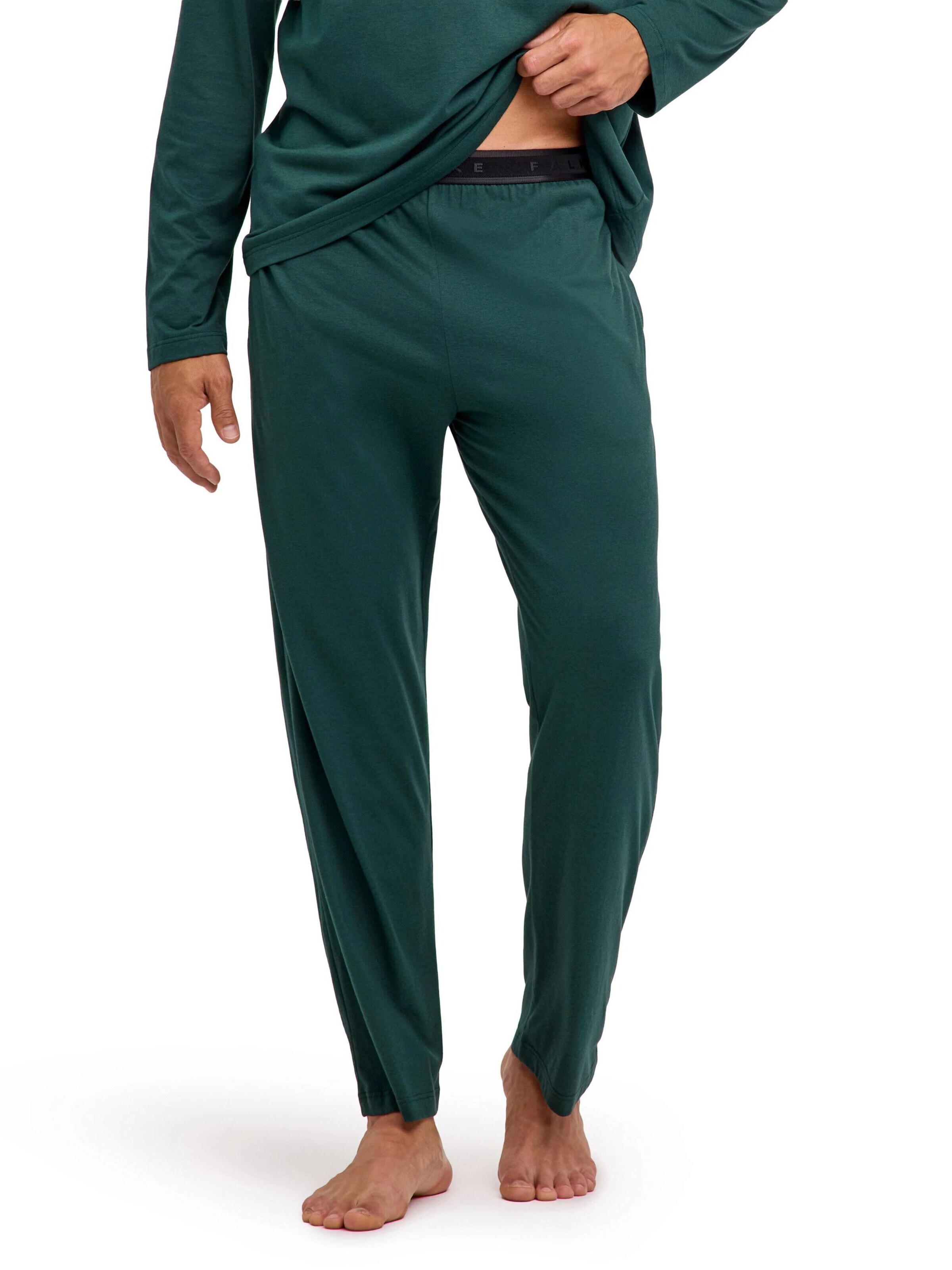 FALKE Sporthose‌‌‌‌ in Grün: Vorderseite