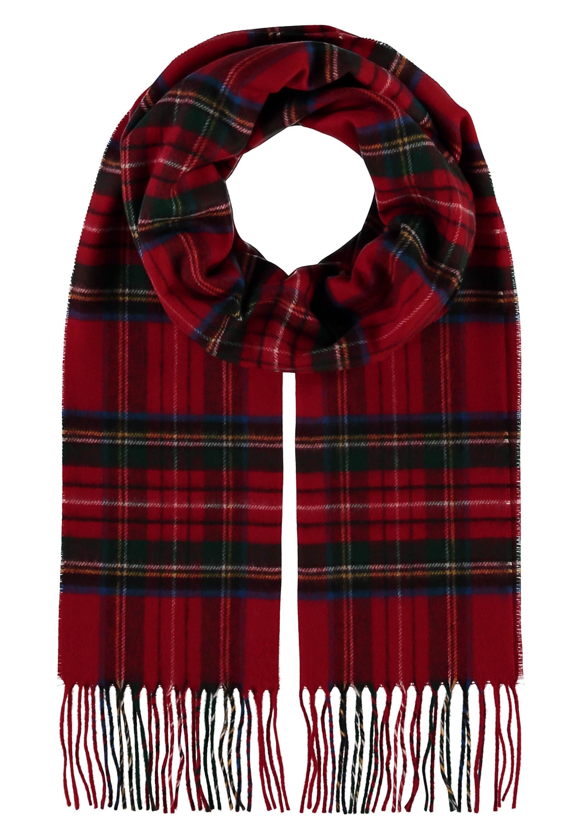 Giorgio Rimaldi Scarf 'Cashmink' in Red: front