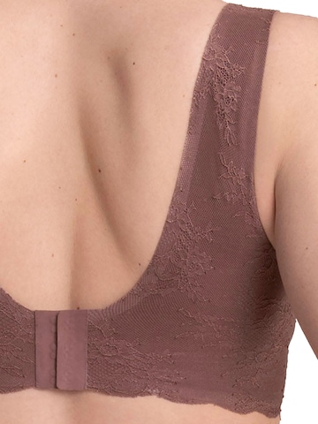 ANITA Mieder 'Essentials Lace'‌‌‌ in Lila: Vorderseite