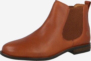 Apple of Eden Chelsea boots 'Manon 10' in Bruin: voorkant