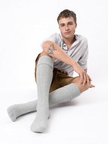 HerzSticht Trachtensocken 'Silberdistel' in Grau
