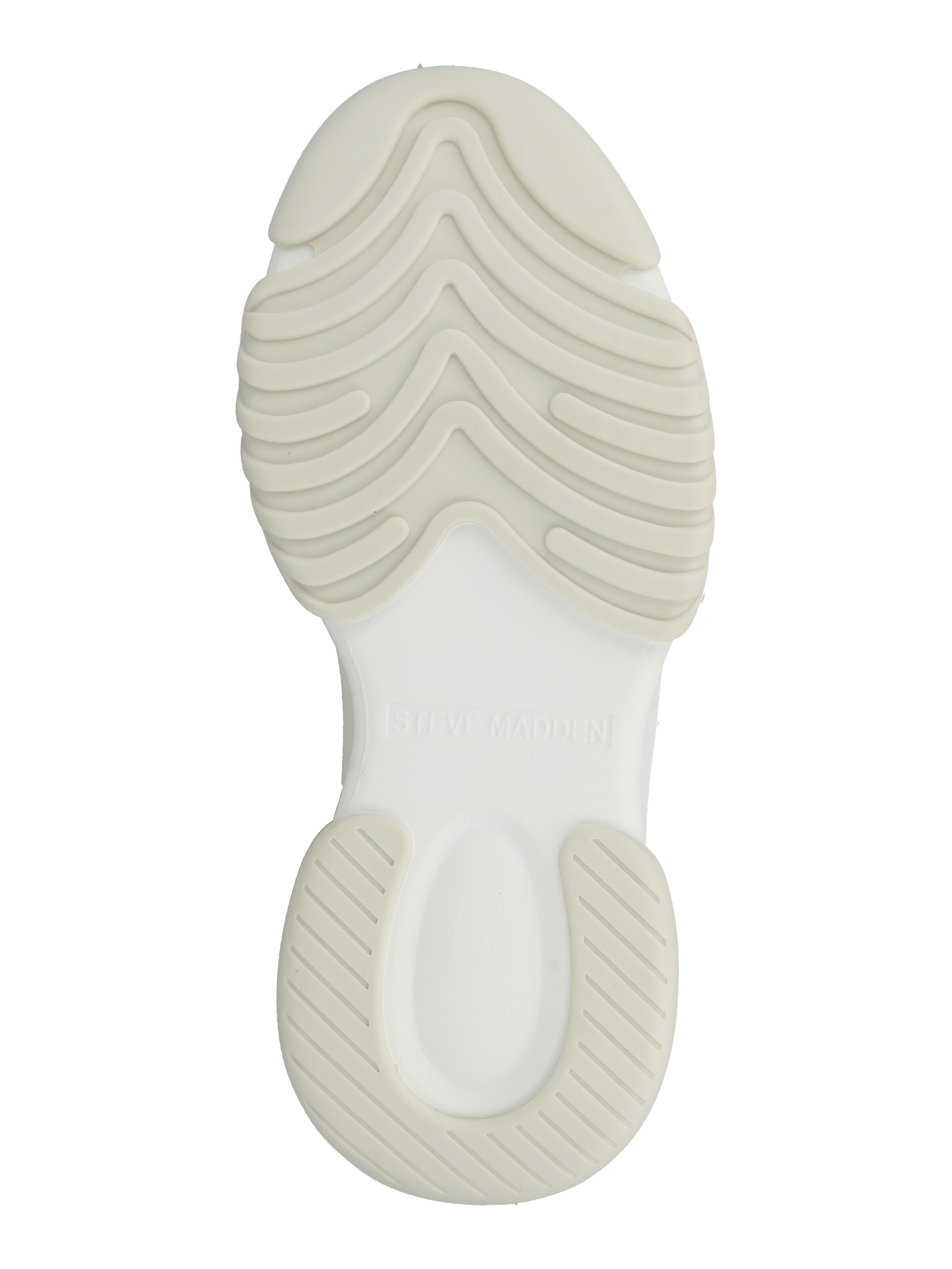 Baskets basses 'Belissimo' STEVE MADDEN en violet