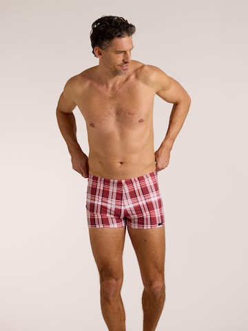wavebreaker Swim Trunks in Red