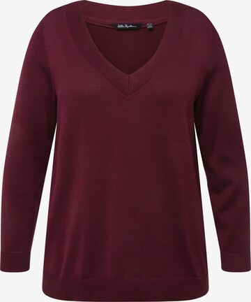 Ulla Popken Sweater in Brown: front