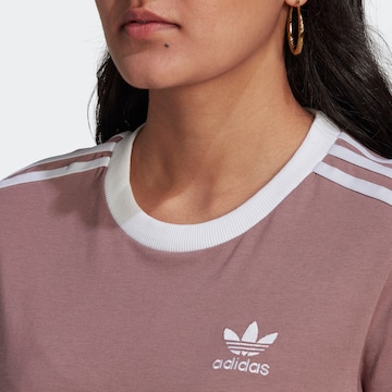 ADIDAS ORIGINALS T-Shirt 'Adicolor Classics' in Lila