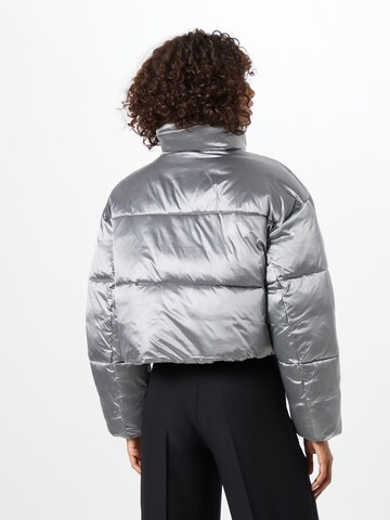 Calvin Klein Зимняя куртка в Серый