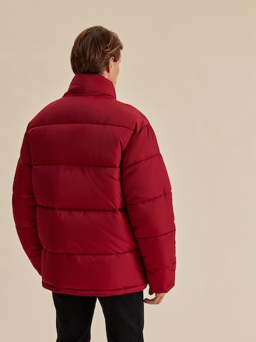 DAN FOX APPAREL Зимняя куртка 'Hanno' в Красный