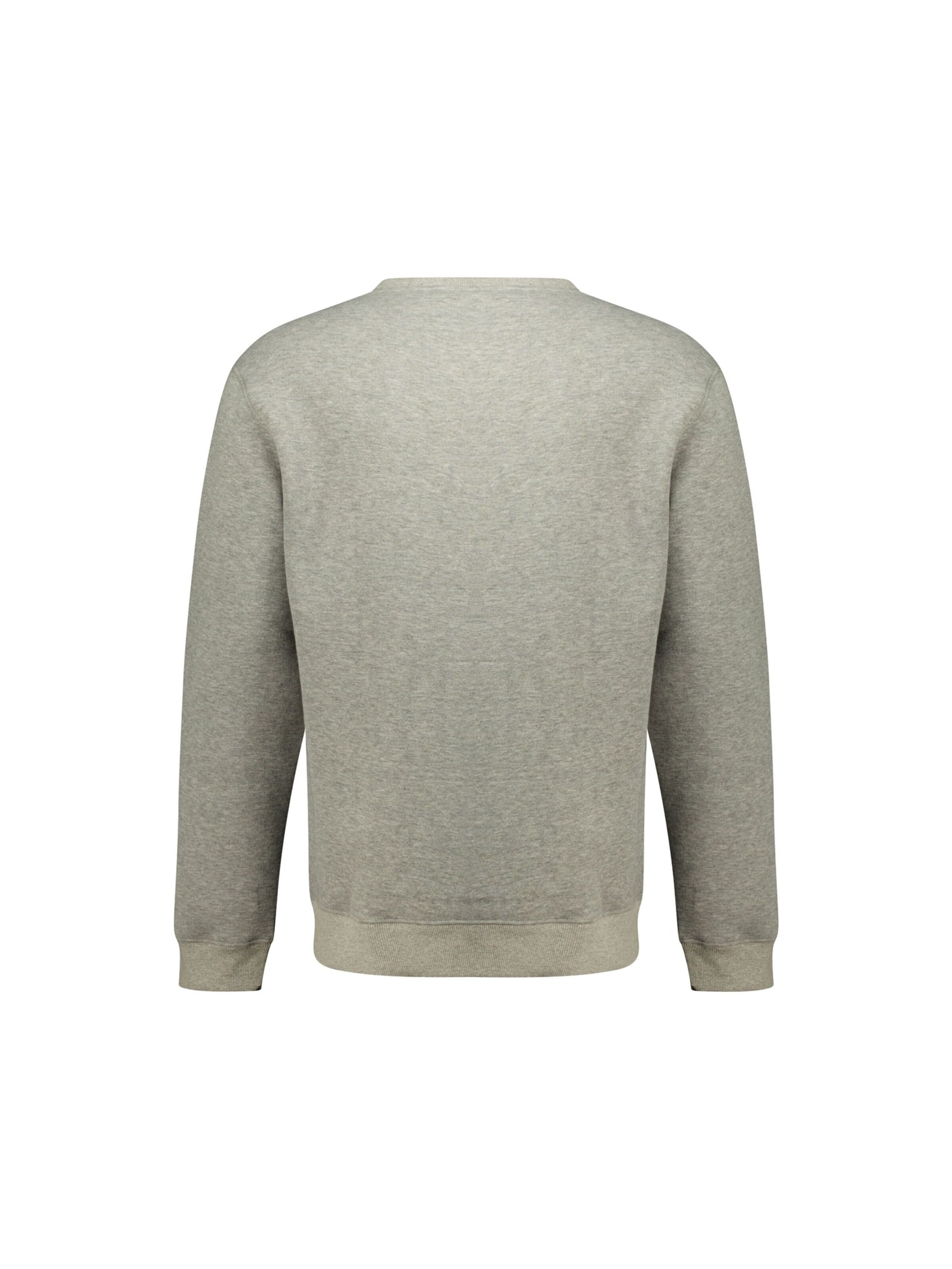 Deeluxe Sweatshirt 'BENOR' in Grey