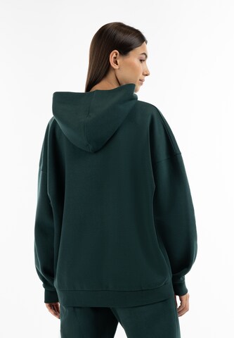 Hootomi Sweatshirt in Grün