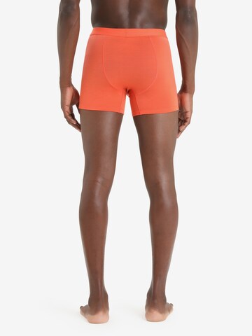 ICEBREAKER Boksershorts 'Anatomica' i orange