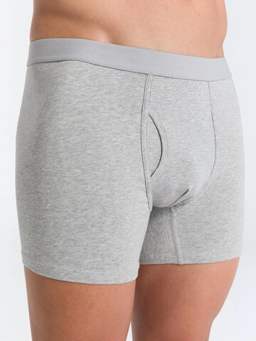 Albero Natur Boxer shorts in Grey