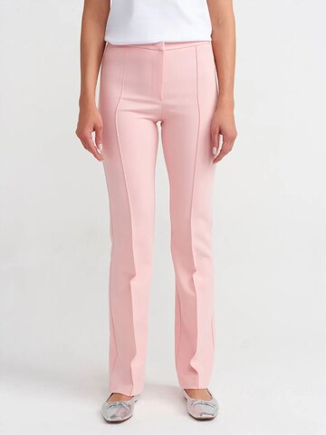 Dilvin Regular Hose in Pink: Vorderseite