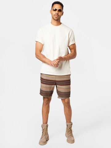 Iriedaily Regular Shorts 'Santo' in Braun