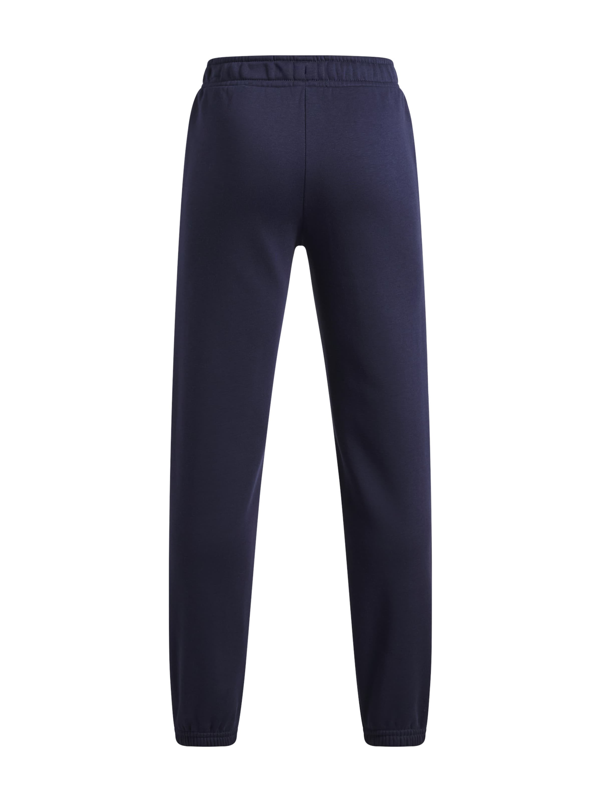 UNDER ARMOUR Tapered Sportbroek 'Rival' in Blauw