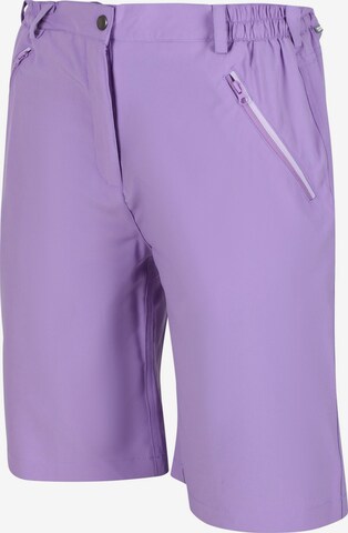 REGATTA Regular Outdoor Pants 'Xert It' in Purple