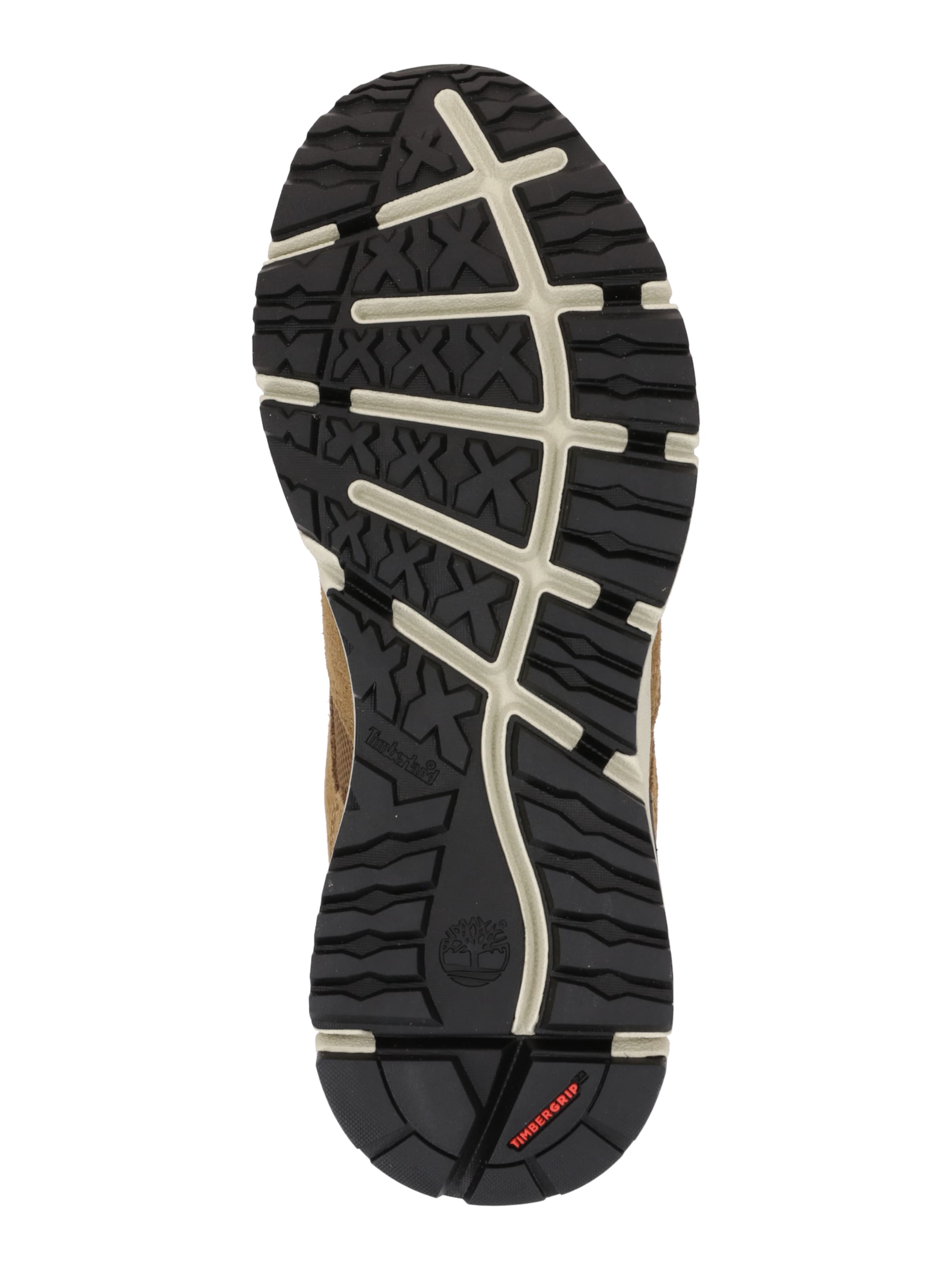 TIMBERLAND Низкие кроссовки в Зеленый