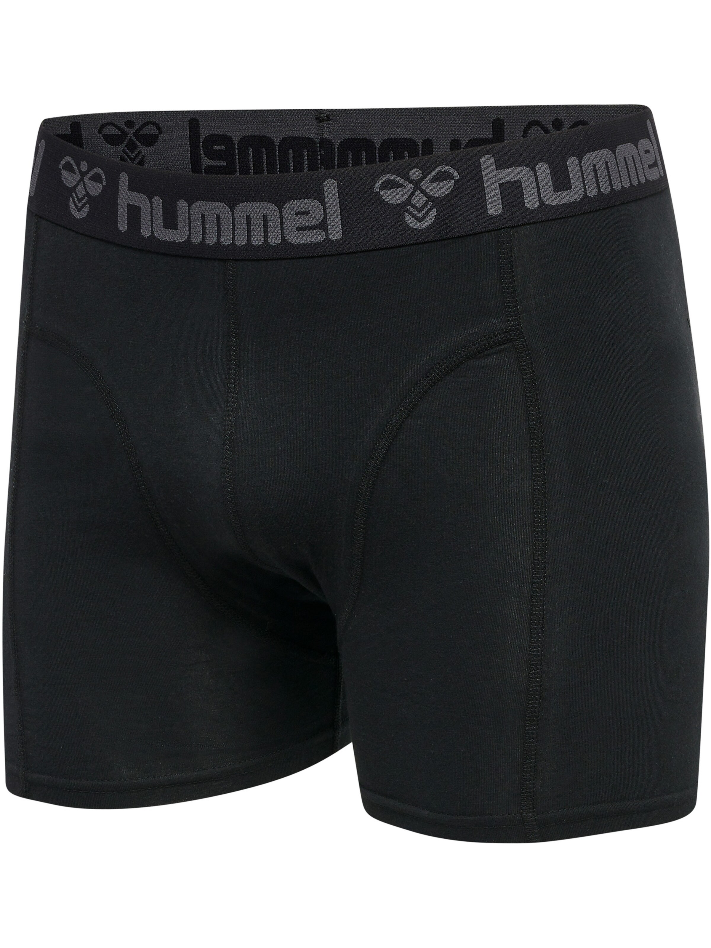 Hummel Boksershorts 'Marston' i blå