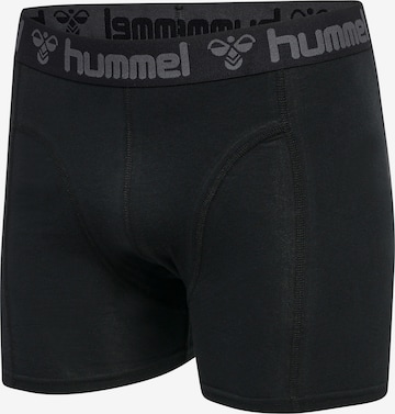 mėlyna Hummel Boxer trumpikės 'Marston'