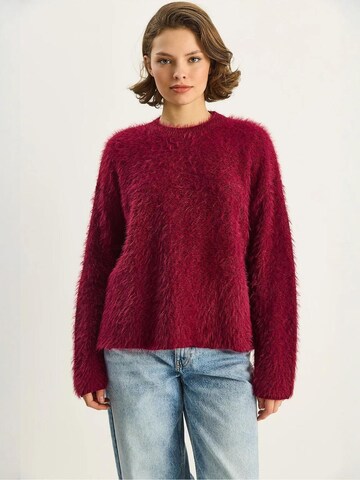 Bianco Lucci Pullover in Rot: Vorderseite