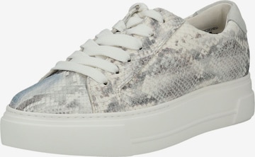 Baskets basses Paul Green en bleu : devant