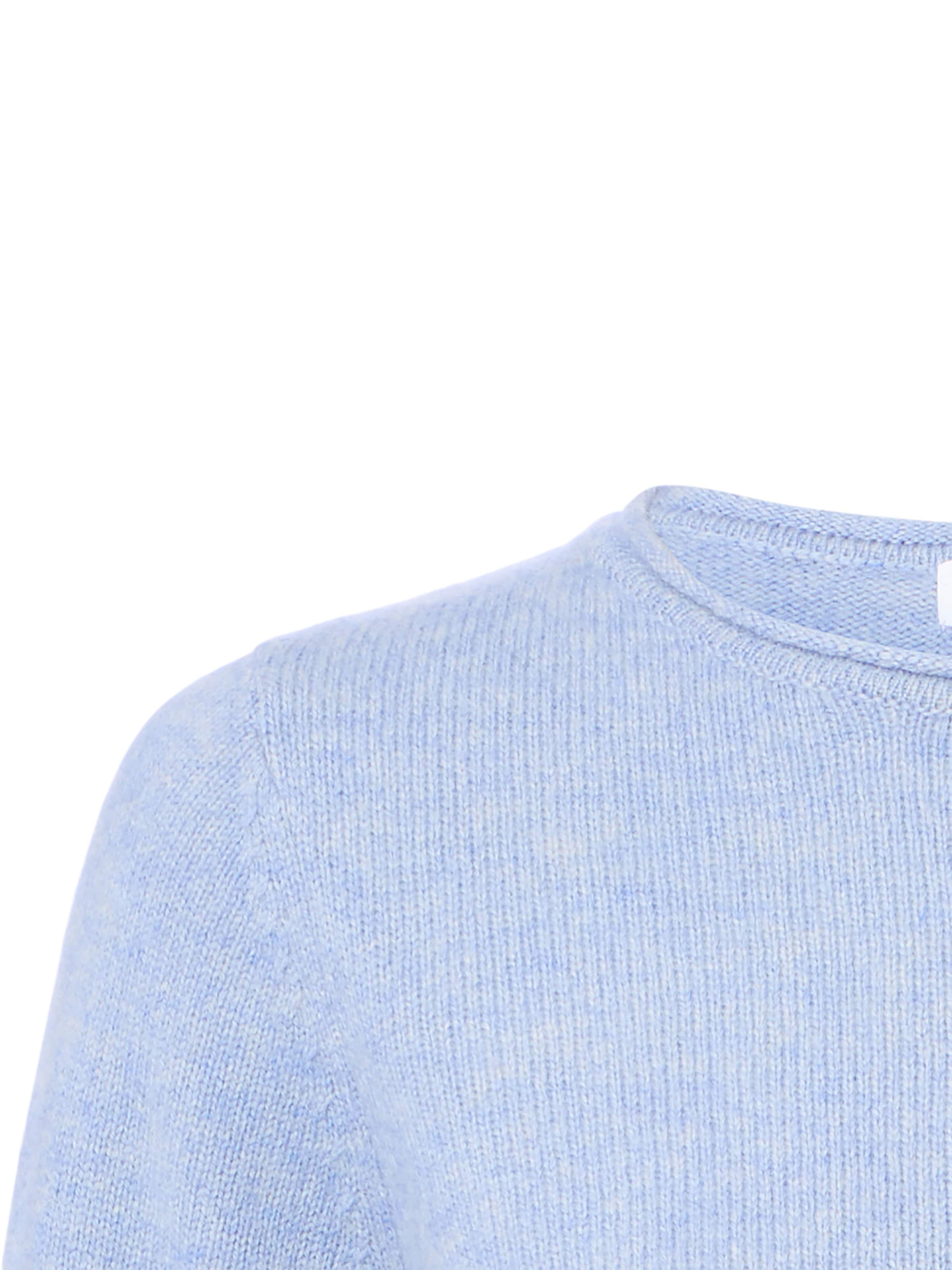 Brookshire Trui in Blauw