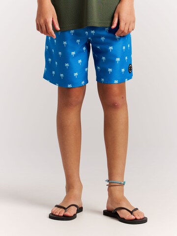 PROTEST Board Shorts 'PRTCalvin JR' in Blue