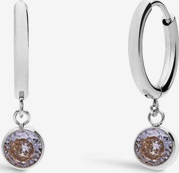 Lucardi Earrings in Silver: front