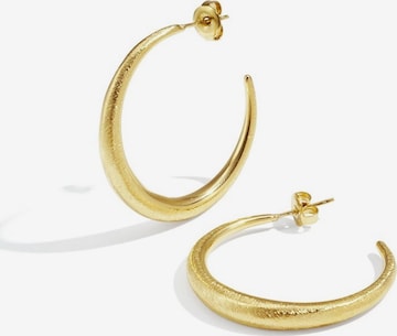 Cala Rose Earrings 'HARPER' in Gold: front