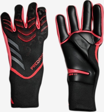 ADIDAS PERFORMANCE Athletic Gloves 'Predator Pro' in Black: front